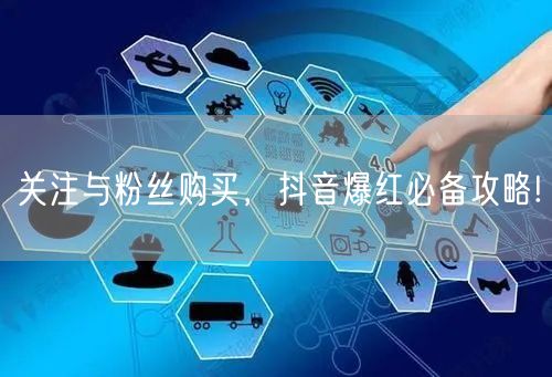 关注与粉丝购买，抖音爆红必备攻略!