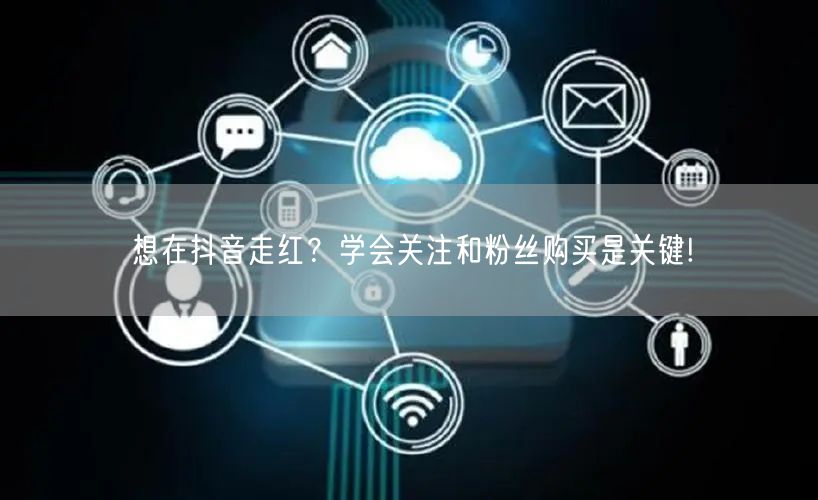 想在抖音走红？学会关注和粉丝购买是关键!