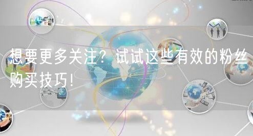 想要更多关注？试试这些有效的粉丝购买技巧！