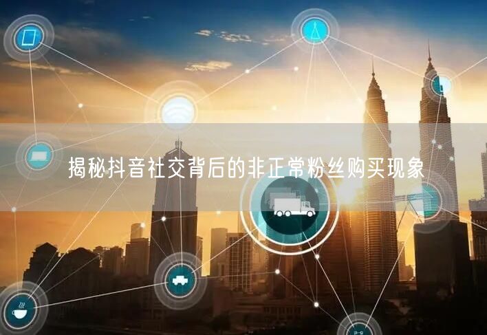 揭秘抖音社交背后的非正常粉丝购买现象