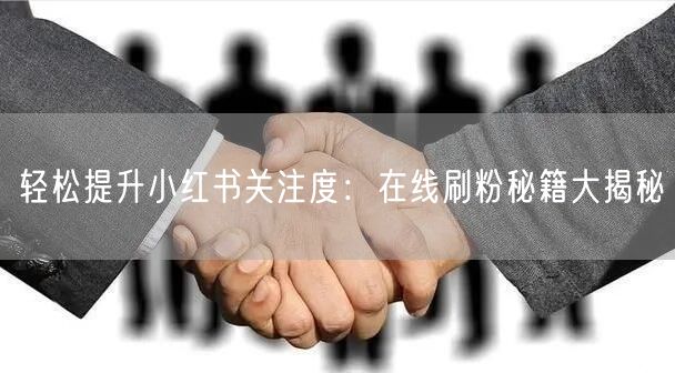 轻松提升小红书关注度：在线刷粉秘籍大揭秘