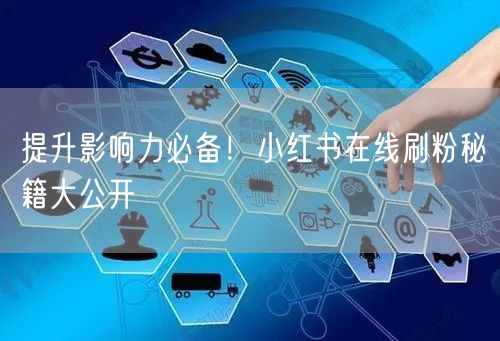 提升影响力必备！小红书在线刷粉秘籍大公开