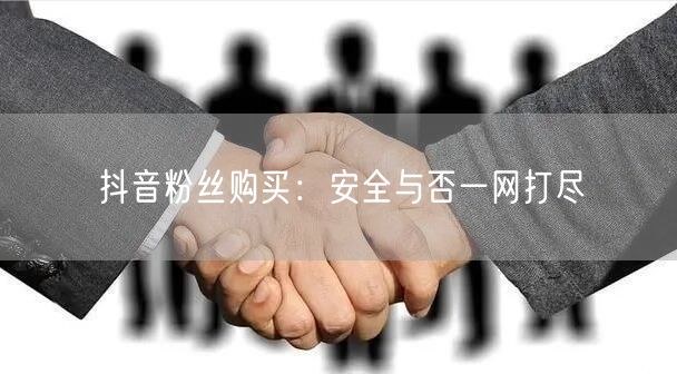 抖音粉丝购买：安全与否一网打尽