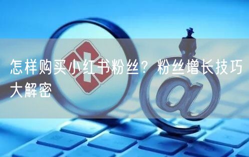 怎样购买小红书粉丝？粉丝增长技巧大解密
