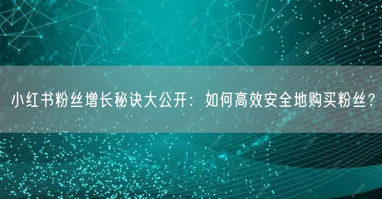 小红书粉丝增长秘诀大公开：如何高效安全地购买粉丝？