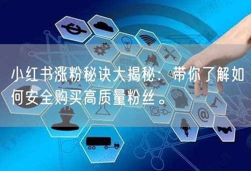 小红书涨粉秘诀大揭秘：带你了解如何安全购买高质量粉丝。