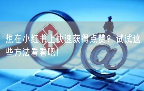 想在小红书上快速获得点赞？试试这些方法看看吧！