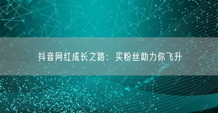 抖音网红成长之路：买粉丝助力你飞升