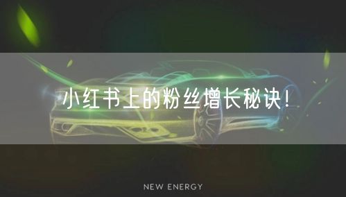 小红书上的粉丝增长秘诀！