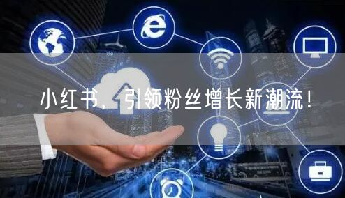 小红书，引领粉丝增长新潮流！