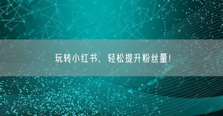 玩转小红书，轻松提升粉丝量！