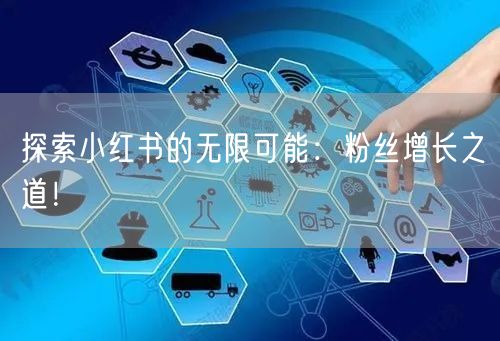 探索小红书的无限可能：粉丝增长之道！