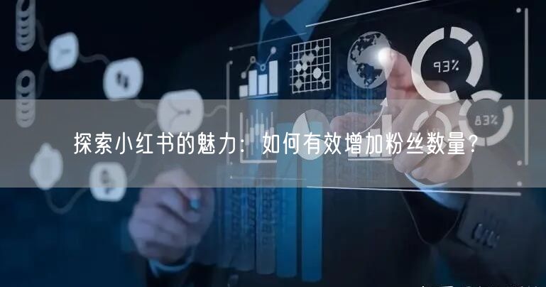 探索小红书的魅力：如何有效增加粉丝数量？