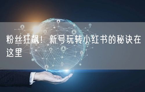 粉丝狂飙！新号玩转小红书的秘诀在这里