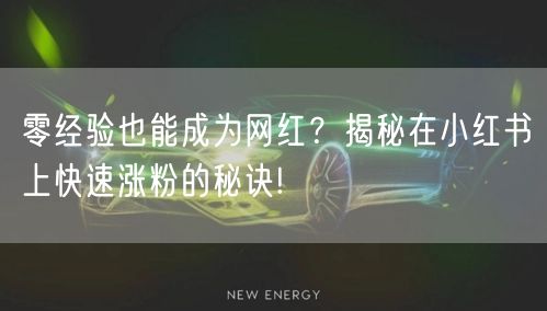 零经验也能成为网红？揭秘在小红书上快速涨粉的秘诀!