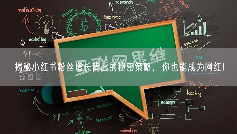 揭秘小红书粉丝增长背后的秘密策略，你也能成为网红！