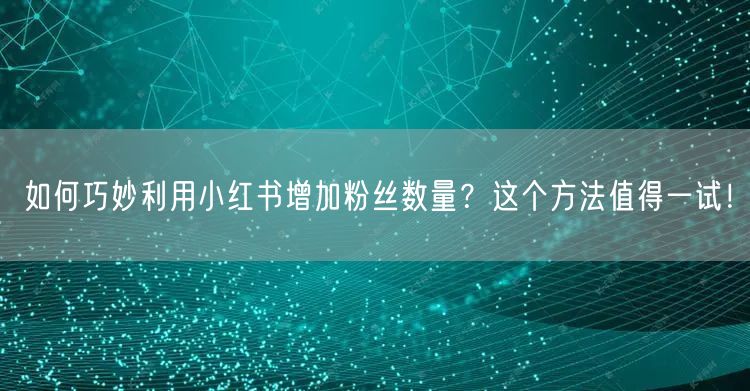如何巧妙利用小红书增加粉丝数量？这个方法值得一试！