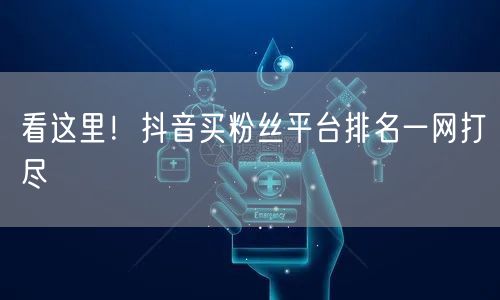 看这里！抖音买粉丝平台排名一网打尽