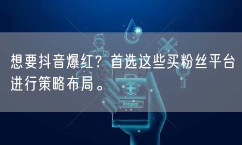 想要抖音爆红？首选这些买粉丝平台进行策略布局。