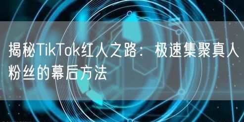 揭秘TikTok红人之路：极速集聚真人粉丝的幕后方法