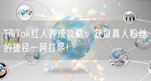 TikTok红人养成攻略：获取真人粉丝的捷径一网打尽！